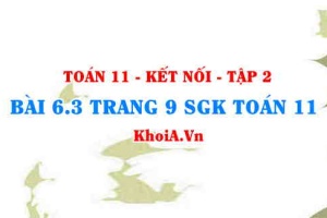 Bài 6.3 trang 9 Toán 11 Kết nối tri thức Tập 2